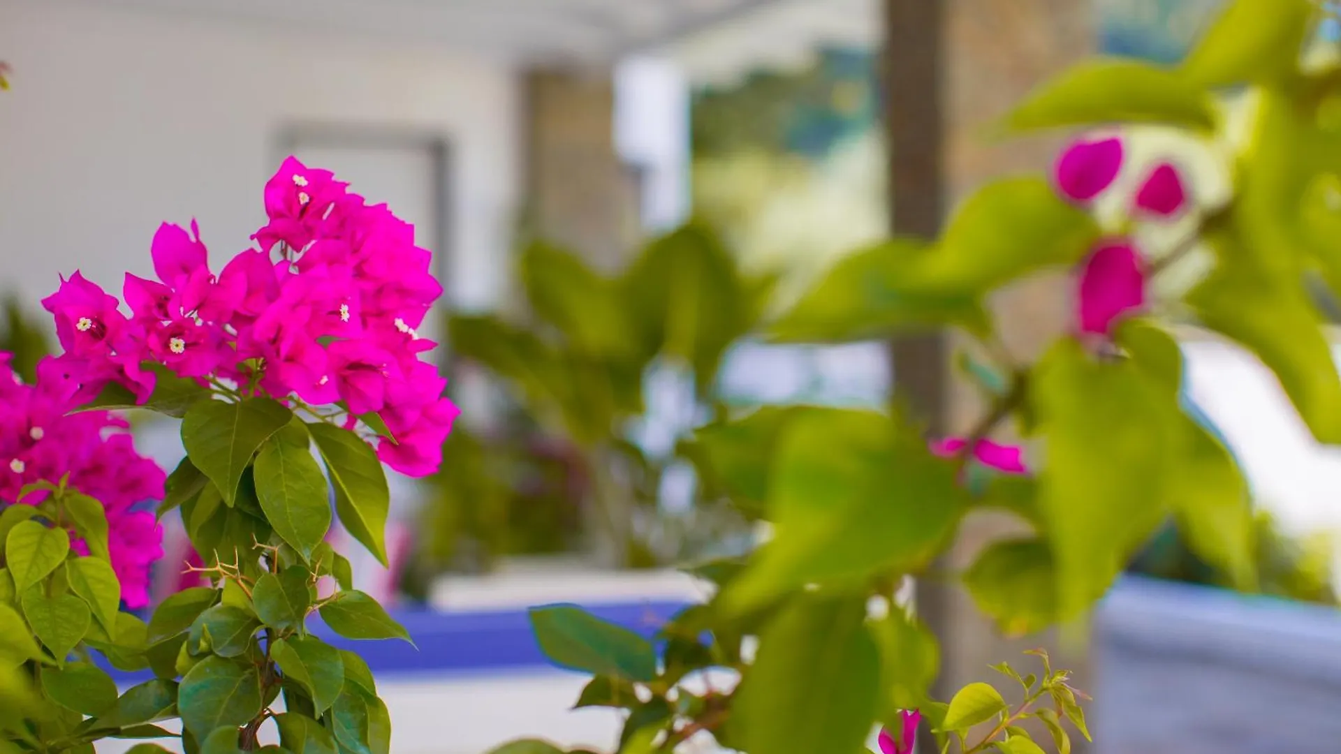 Berat River House Boutique Hotel